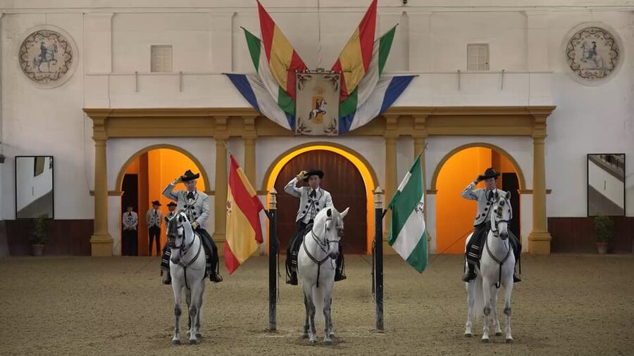 From Seville: Jerez, Cádiz and Andalusian Horses - Should you book the Jerez, horse, and Cádiz trip?