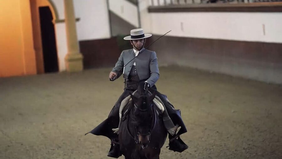 From Seville: Jerez, Cádiz and Andalusian Horses - FAQ