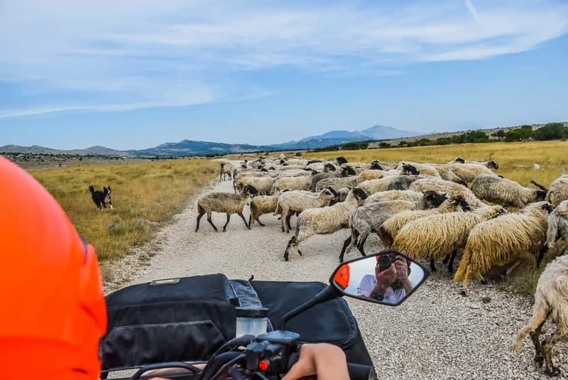 From Split: Full-Day Horse Riding & Quad Biking with Lunch - Key points to know before booking