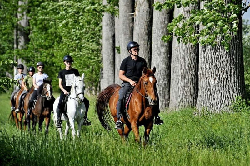 From Split: Full-Day Horse Riding & Quad Biking with Lunch - Is $294 a fair price?