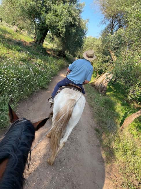 From Tropea: Horseback Riding Tour with Picnic in Francica - Choosing the right riding time