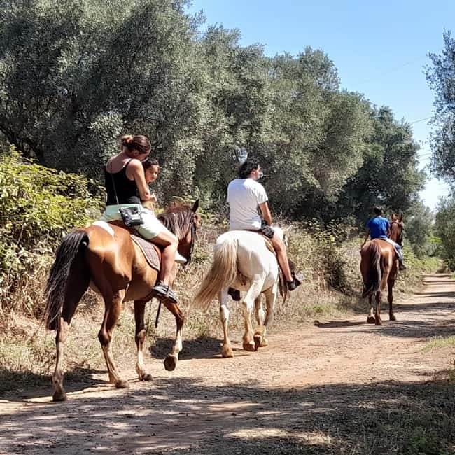 From Tropea: Horseback Riding Tour with Picnic in Francica - Practical preparation for a comfortable ride