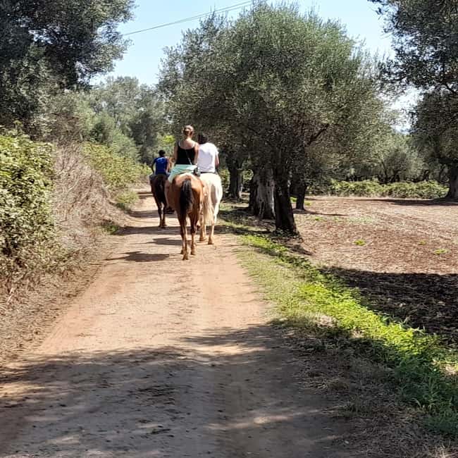 From Tropea: Horseback Riding Tour with Picnic in Francica - Who will enjoy this Francica outing