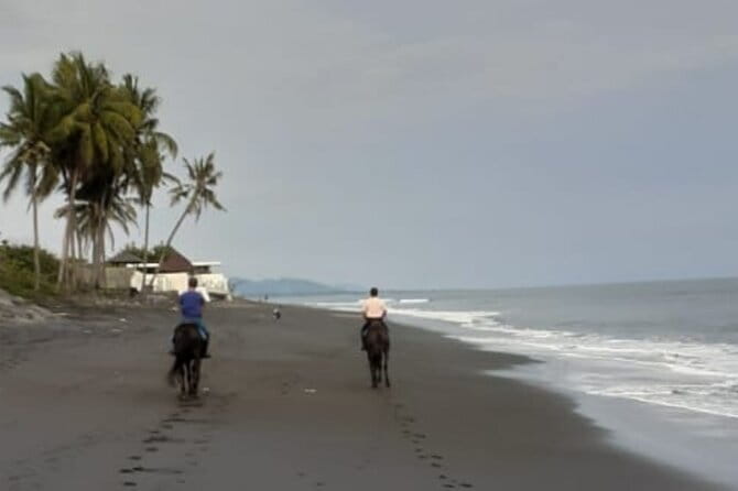 From Ubud 1 Hour Horse Riding at The Beach Experiences - The journey from Ubud to Saba Beach