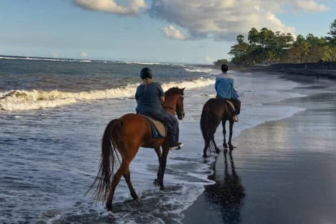 From Ubud 1 Hour Horse Riding at The Beach Experiences - Who will enjoy this beach ride most?