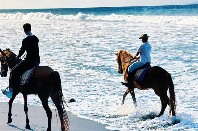 From Ubud 1 Hour Horse Riding at The Beach Experiences - One hour along the sandy coastline