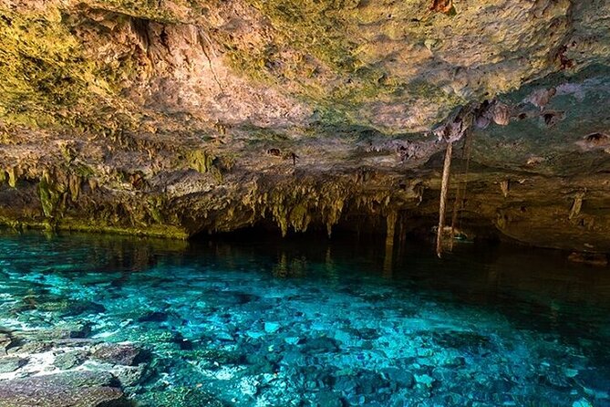 Full Day Adventure: Horses , ATV, Ziplines & Cenote w/Lunch - Rappelling and the cenote swim