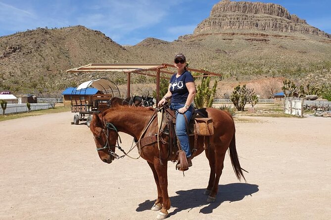 Full Day Grand Canyon Trip with Horseback Ride From Las Vegas - Choosing the 45-minute horseback ride