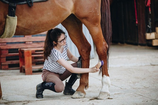 Full day Horse riding & Quad biking - Three hours by quad on Dinara Mountain