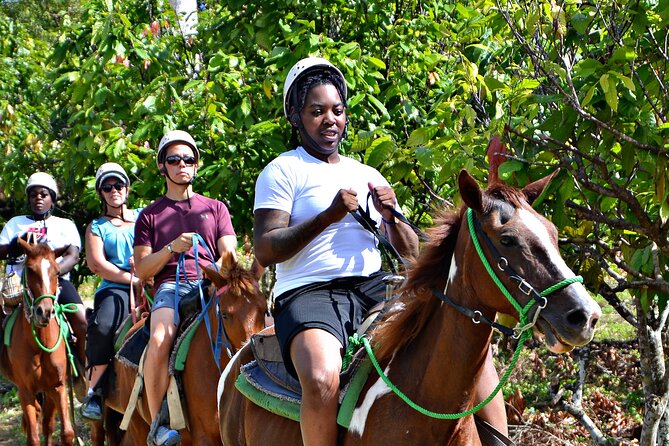 Full-Day La Hacienda Dune Buggy with Zipline & Horseback Activity - A swim in a pristine river