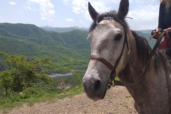 Full-day Private Guided Horseback Ride through Dzoraget Canyon - A picnic lunch in the Dzoraget Valley