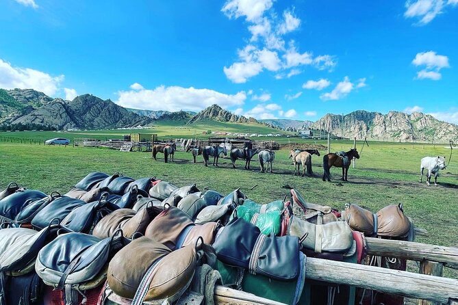 Full Day Private Tour in Terelj National Park with Horse Riding - Horse riding for beginners and experienced riders