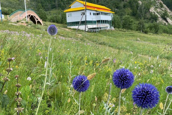 Full Day Private Tour in Terelj National Park with Horse Riding - What the seven to eight hours really include