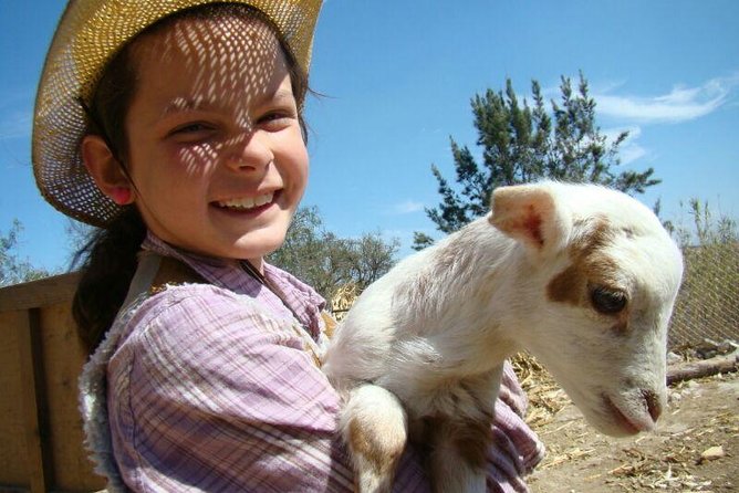 Full-Day Ranch Adventure and Horseback Riding Tour - Key points at a glance