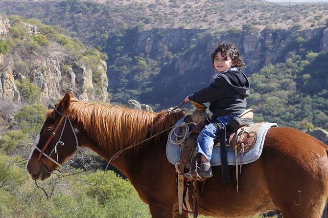 Full-Day Ranch Adventure and Horseback Riding Tour - A working ranch morning before the saddle
