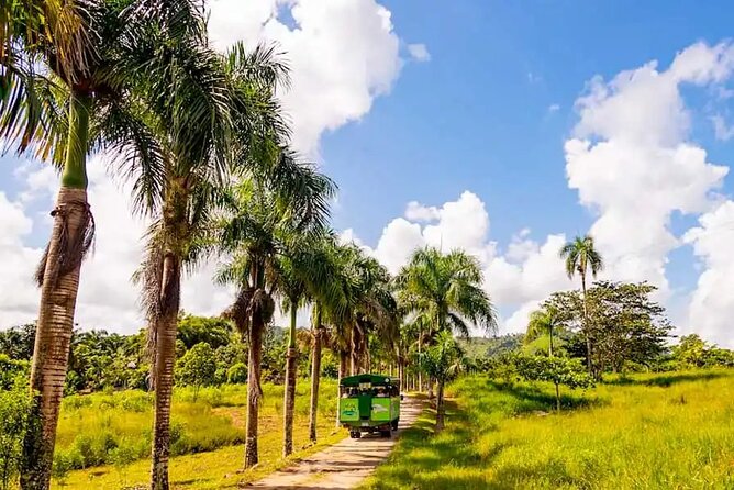 Full Dominican Adventure: Zipline, ATV Buggie, Horseback & Safari - A slower horseback ride through the countryside