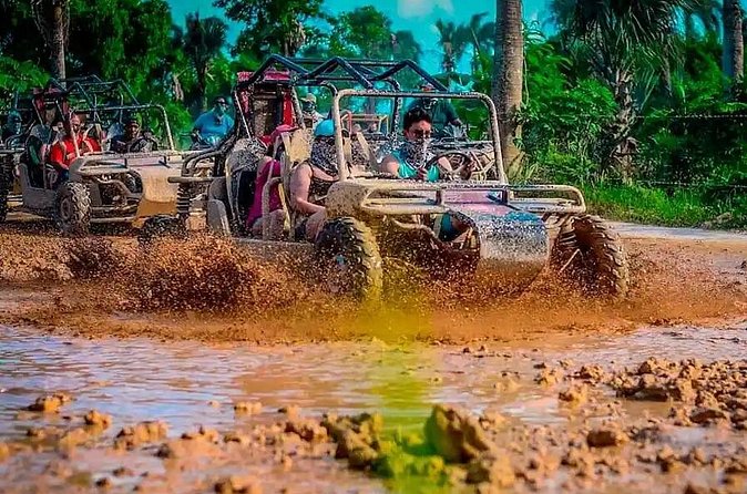 Full Dominican Adventure: Zipline, ATV Buggie, Horseback & Safari - Coffee, cacao, and rum at a Dominican ranch