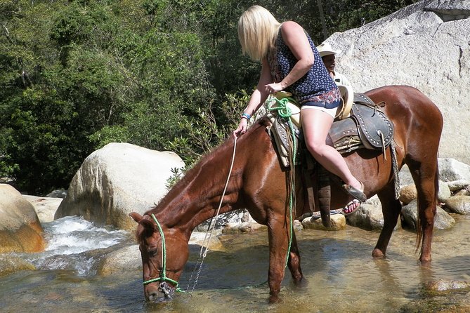 Fun Horseback Tour in Mismaloya - The scenery: forest, river, and mountain views
