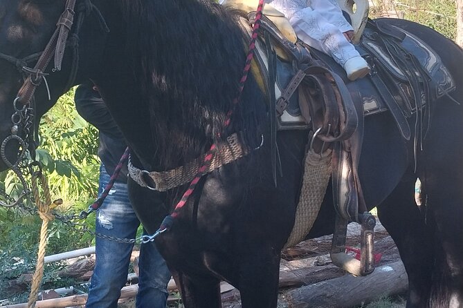 Fun Horseback Tour in Mismaloya - Guides, horses, and the small-group advantage