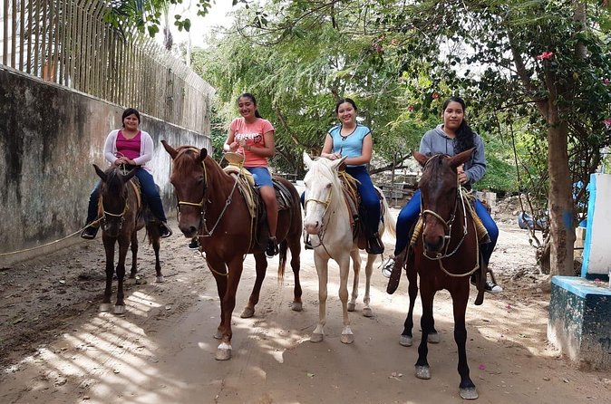 Fun Horseback Tour in Mismaloya - Is the tour good value?