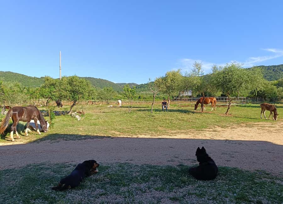 Gargano National Park: a horseback ride - Is $53 a Fair Price?