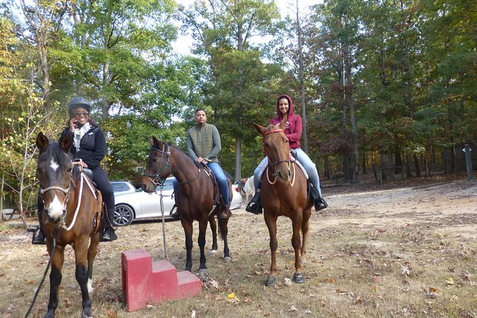 Georgia Horseback Ride with Wine Tasting - Key points to know before booking
