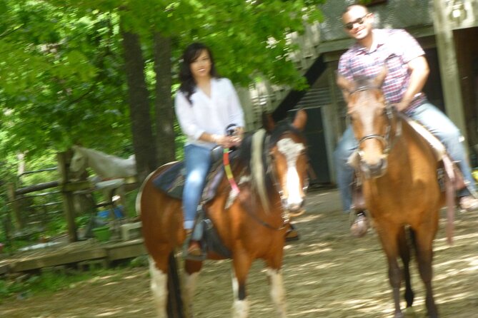Georgia Horseback Ride with Wine Tasting - Is $284.11 a fair price?