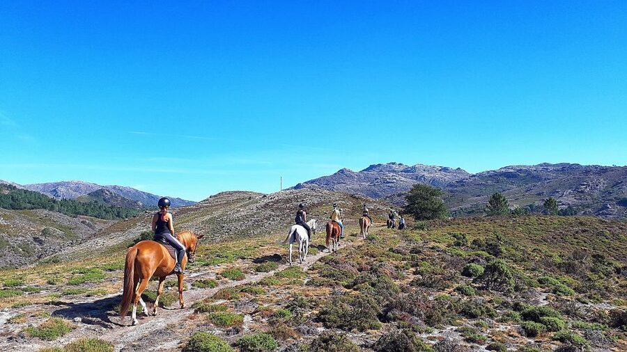 Gerês Braga: Horseback Ride in Peneda Gerês National Park - Key points at a glance