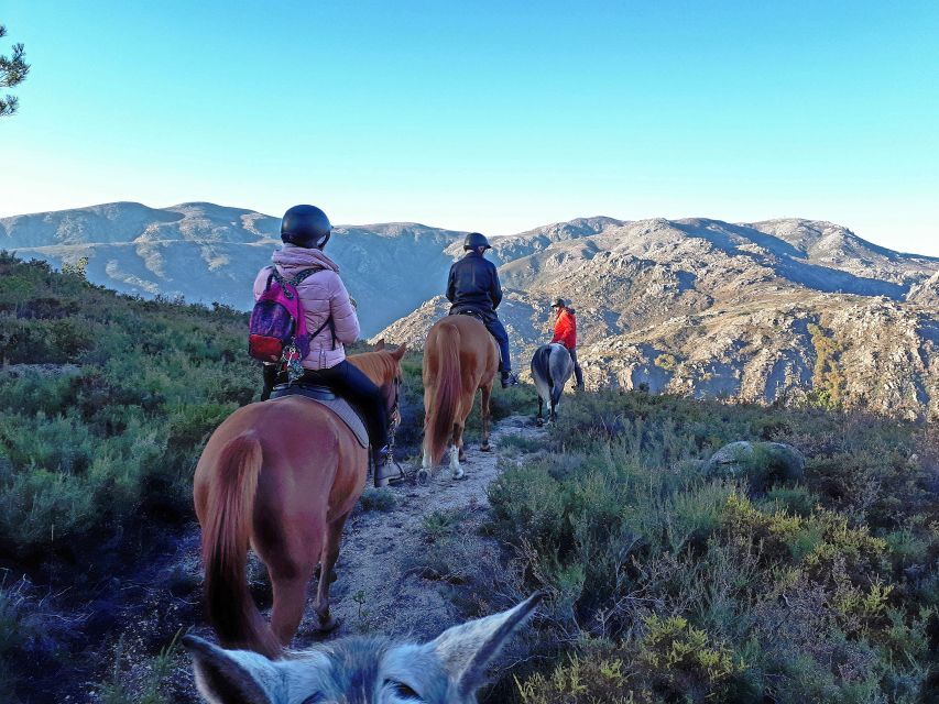 Gerês Braga: Horseback Ride in Peneda Gerês National Park - Following old trails toward the mountain