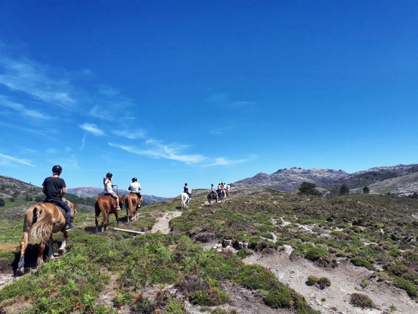 Gerês Braga: Horseback Ride in Peneda Gerês National Park - Who should book this ride?