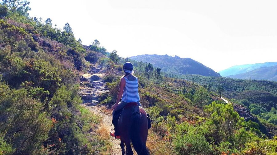Gerês Braga: Horseback Ride in Peneda Gerês National Park - Timing, cancellation, and practical planning
