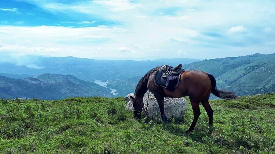 Gerês Braga: Horseback Ride in Peneda Gerês National Park - Riding through Campo de Gerês