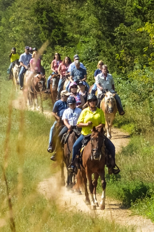 Gettysburg: Licensed Guided Battlefield Horseback Tour - Key points at a glance