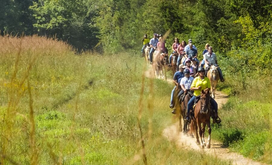Gettysburg: Licensed Guided Battlefield Horseback Tour - Following the route through the national military park