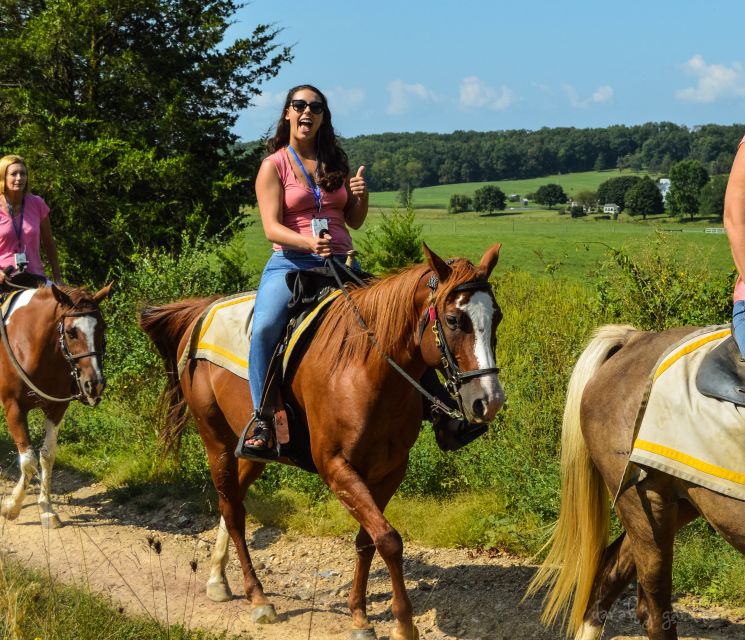 Gettysburg: Licensed Guided Battlefield Horseback Tour - Spangler Farm and views toward Little Round Top
