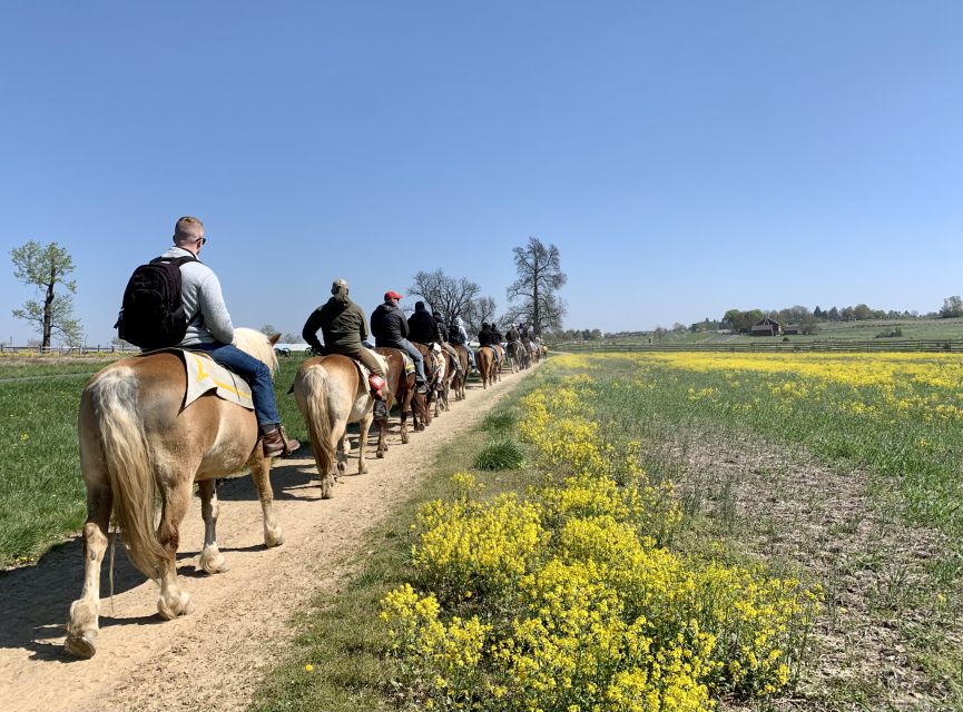 Gettysburg: Licensed Guided Battlefield Horseback Tour - What the horses and staff add