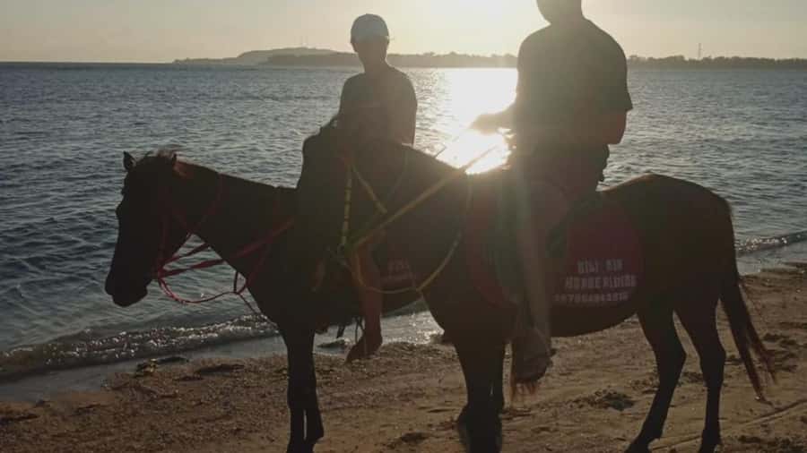 Gili Air: 1-Hour Horse Riding Adventure - What to pack and what to wear