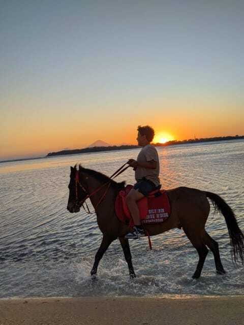 Gili Air: 1 Hour Horseback Riding With hotel Transfer - Should you book Gili Air horseback riding?