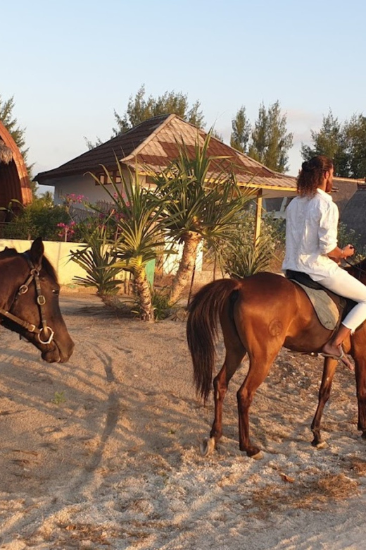 Gili Meno: 1-Hour Beginner Horse Riding Experience - How this compares with a normal beach walk