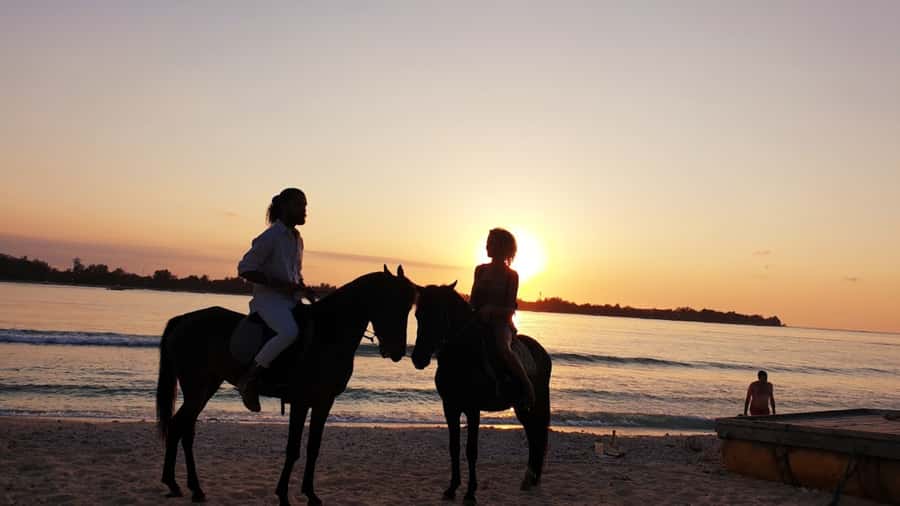 Gili Meno: 1-Hour Beginner Horse Riding Experience - What the English-speaking guide adds