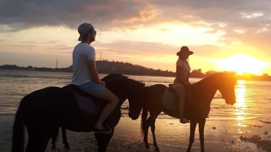 Gili Meno: 1-Hour Beginner Horse Riding Experience - Is $39 a fair price for one hour?