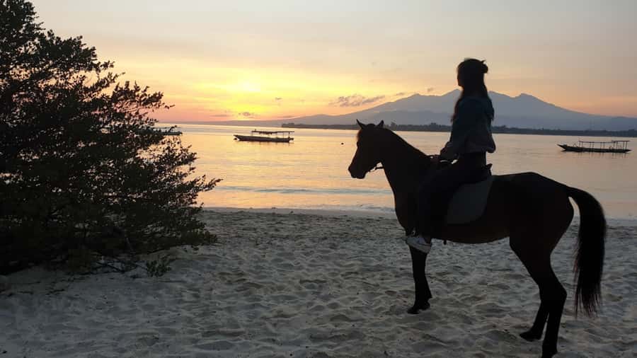 Gili Meno: 1-Hour Beginner Horse Riding Experience - Meeting the horses and getting comfortable in the saddle