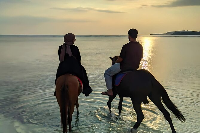 Gili Meno Horse Riding Adventure on the Beach for 1 Hour - Riding along Gili Meno’s white-sand shore