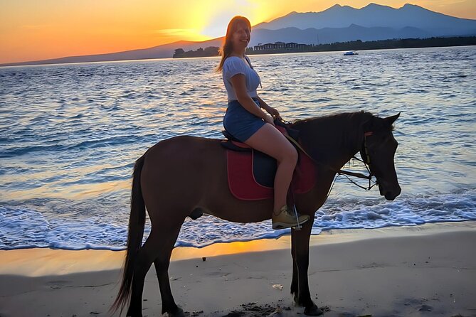 Gili Meno Horse Riding Adventure on the Beach for 1 Hour - Is $41.69 per person fair?