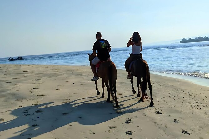 Gili Meno Horse Riding Adventure on the Beach for 1 Hour - Who will enjoy this beach ride most?