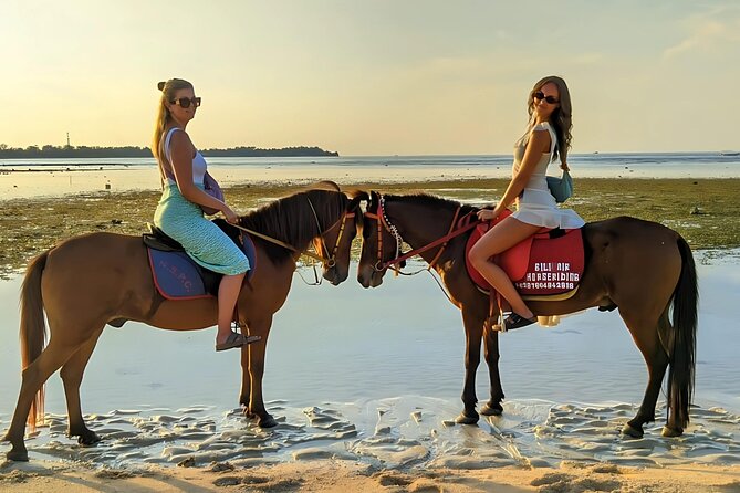 Gili Meno Horse Riding Adventure on the Beach for 1 Hour - How this compares with a standard beach walk