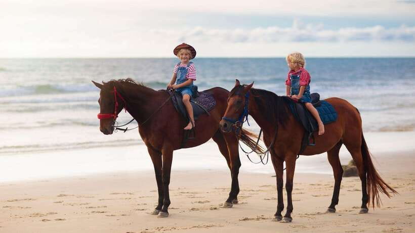Gili Trawangan: Beach Horseback Riding with Pickup Hotel - A quiet way to see Gili Trawangan
