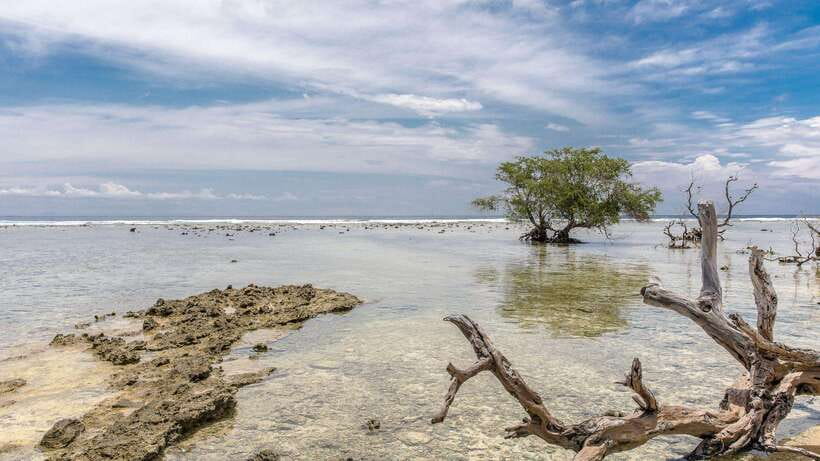 Gili Trawangan: Beach Horseback Riding with Pickup Hotel - Along the coast on white sand