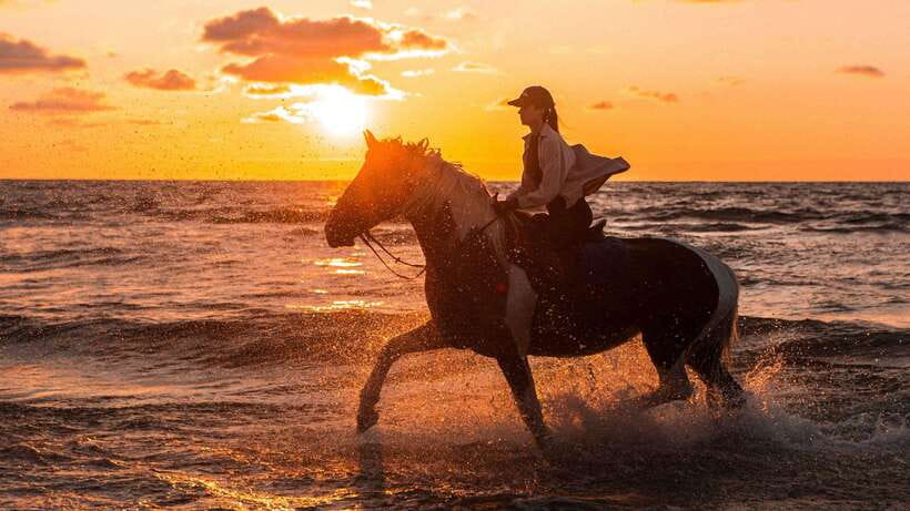 Gili Trawangan: Beach Horseback Riding with Pickup Hotel - Caves, elephant carvings, and the rescue center