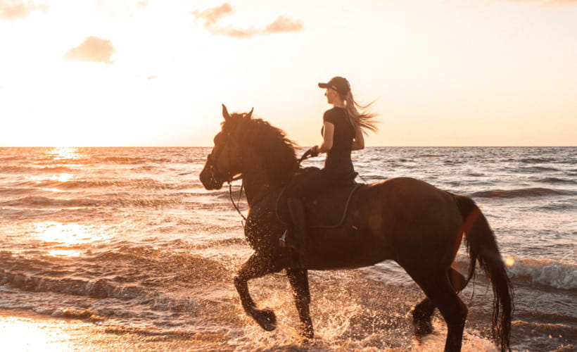 Gili Trawangan: Beach Horseback Riding with Pickup Hotel - Who will enjoy this ride most